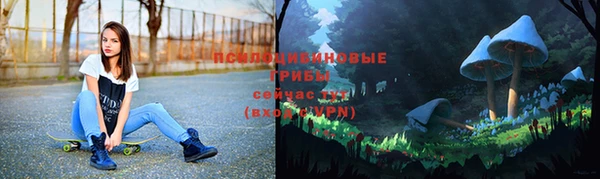 соль ск Пестово