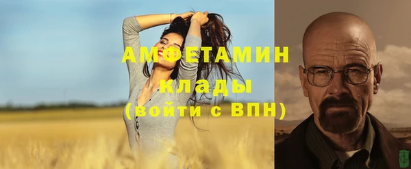 ПСИЛОЦИБИНОВЫЕ ГРИБЫ Переславль-Залесский