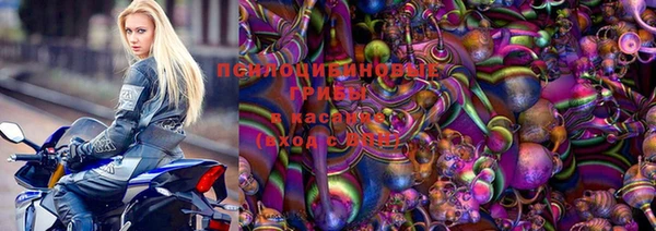 ПСИЛОЦИБИНОВЫЕ ГРИБЫ Переславль-Залесский