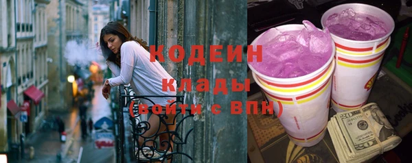 соль ск Пестово