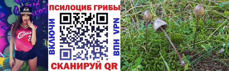 Галлюциногенные грибы Psilocybine cubensis  наркотики  Ветлуга 